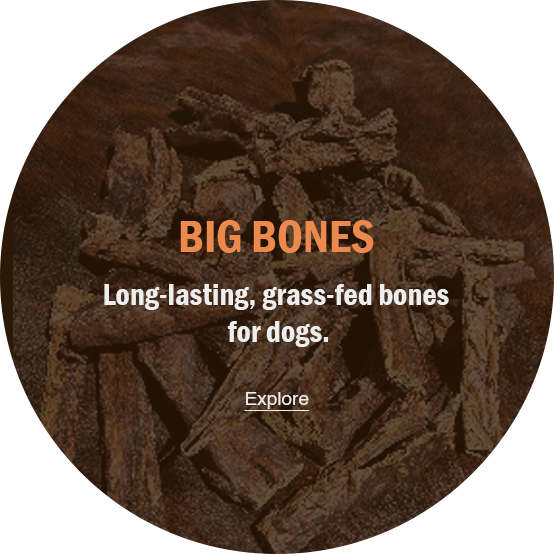 BIG BONES