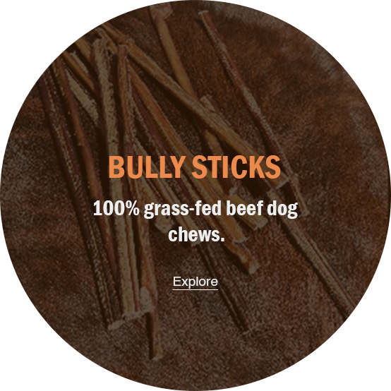 BULLY STICKS