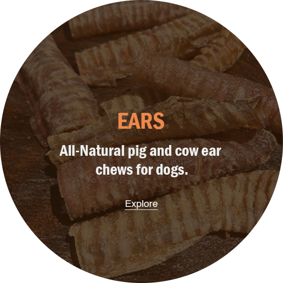 EARS