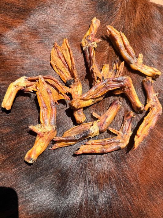Duck Feet