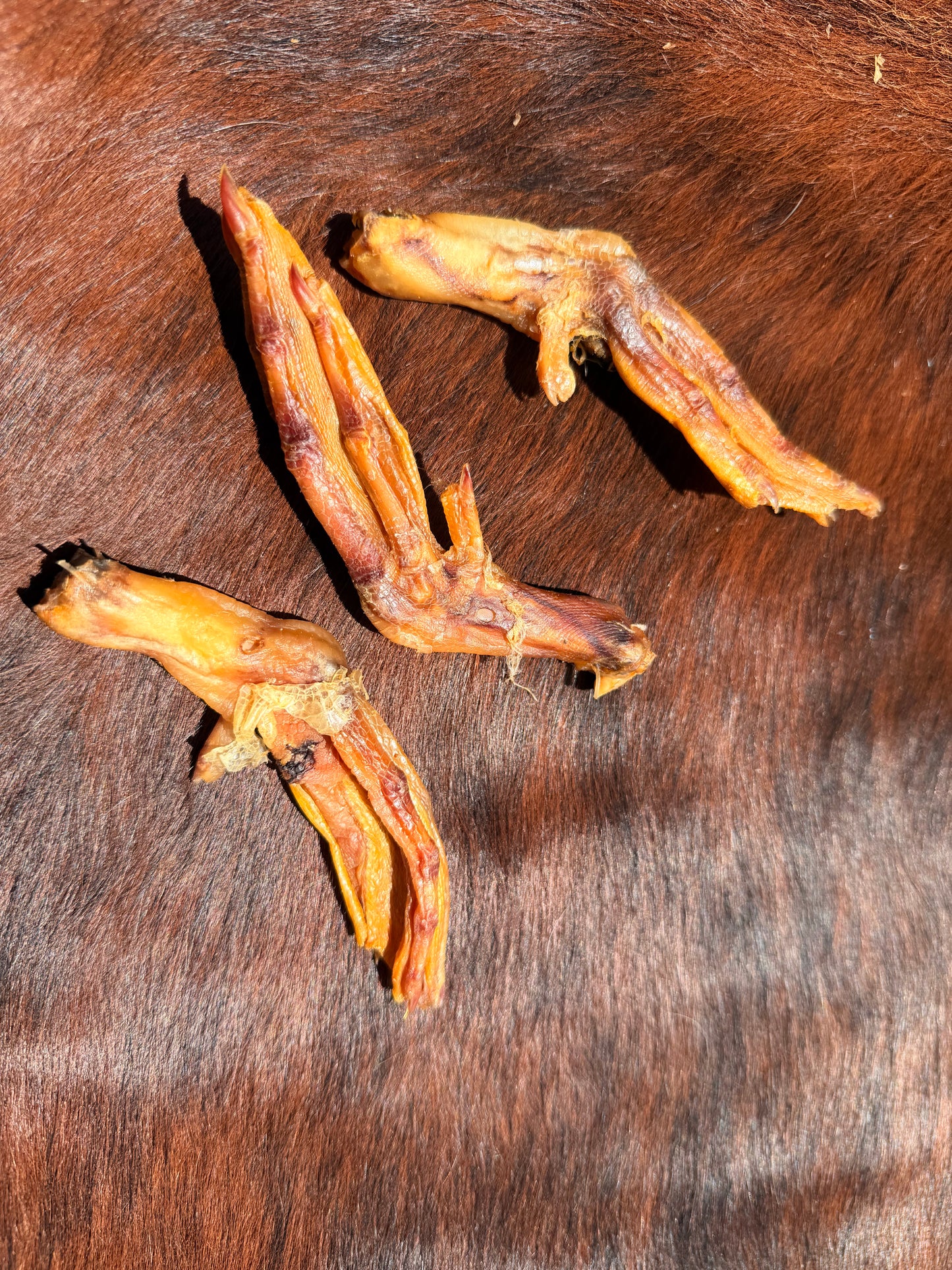 Duck Feet