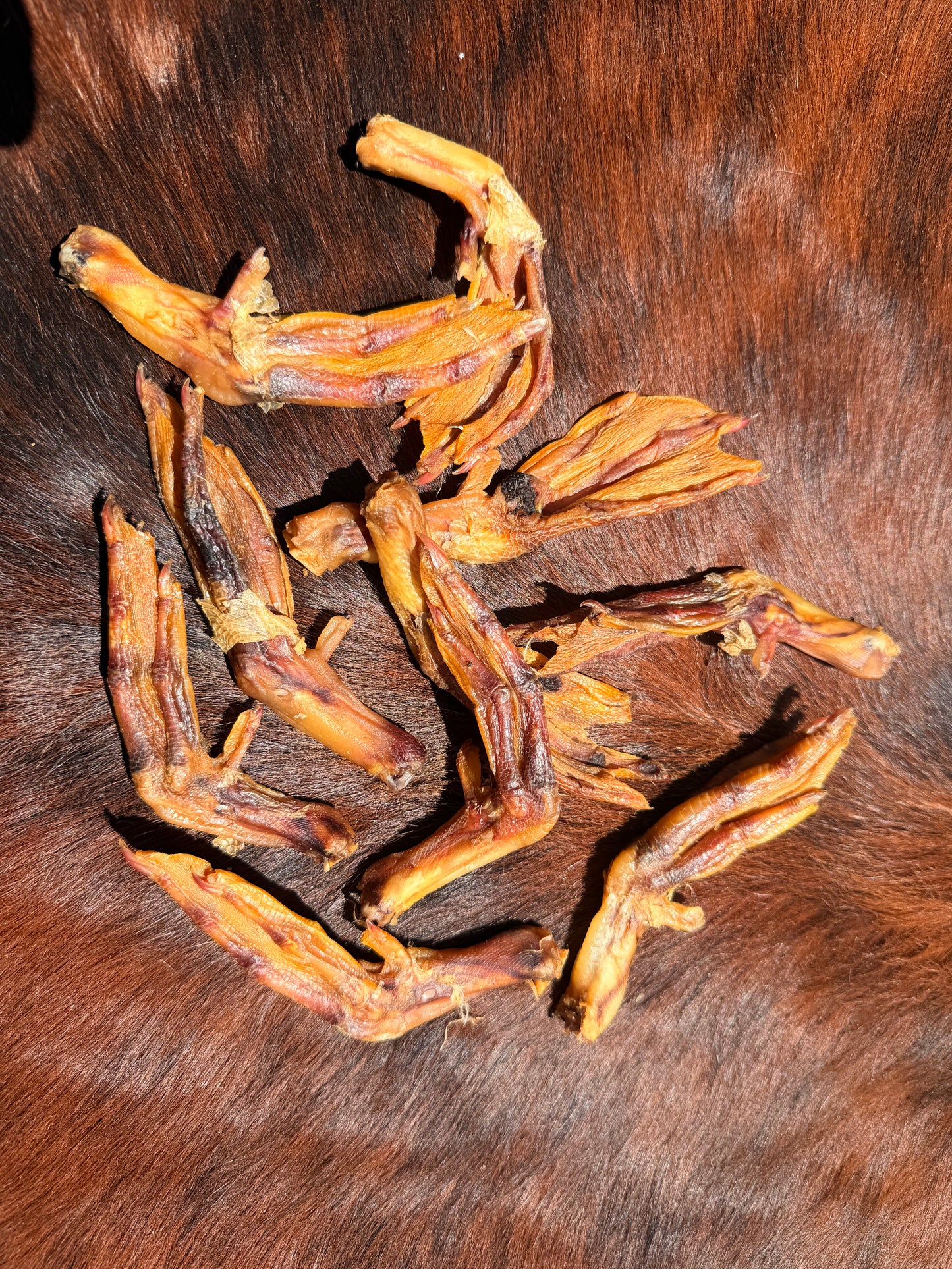 Duck Feet